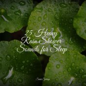 25 Heavy Rain Shower Sounds for Sleep