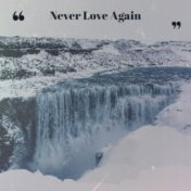 Never Love Again