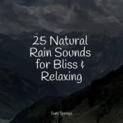 25 Natural Rain Sounds for Bliss & Relaxing