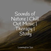 Sounds of Nature | Chill Out Music | Therapy | Study