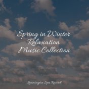 Spring in Winter Relaxation Music Collection