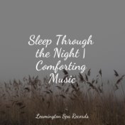 Sleep Through the Night | Comforting Music