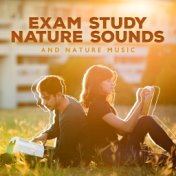 Exam Study Nature Sounds and Nature Music (Concentration and Focus on Learning  Increase Brain Power, Natural Study Music for Re...