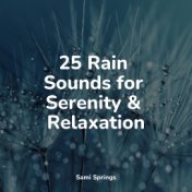 25 Rain Sounds for Serenity & Relaxation