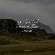 25 Calm & Soft Sounds of Rain Sounds