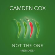 Not the One (Remixes)