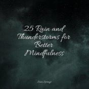 25 Rain and Thunderstorms for Better Mindfulness