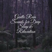 Gentle Rain Sounds for Deep Sleep & Relaxation