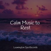 Calm Music to Rest