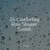 25 Comforting Rain Shower Sounds