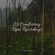 25 Comforting Rain Recordings