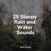 25 Sleepy Rain and Water Sounds