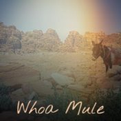 Whoa Mule