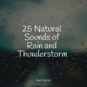 25 Natural Sounds of Rain and Thunderstorm