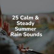 25 Calm & Steady Summer Rain Sounds