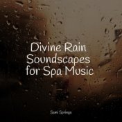 Divine Rain Soundscapes for Spa Music