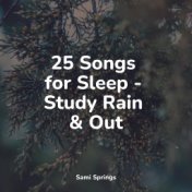 25 Songs for Sleep - Study Rain & Out