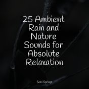 25 Ambient Rain and Nature Sounds for Absolute Relaxation