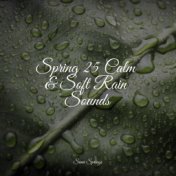 Spring 25 Calm & Soft Rain Sounds