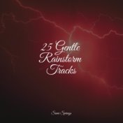 25 Gentle Rainstorm Tracks