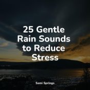 25 Gentle Rain Sounds to Reduce Stress
