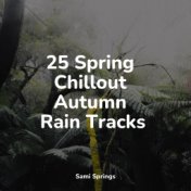 25 Spring Chillout Autumn Rain Tracks