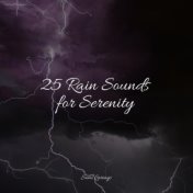 25 Rain Sounds for Serenity