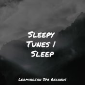 Sleepy Tunes | Sleep