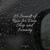 25 Sounds of Rain for Deep Sleep and Serenity