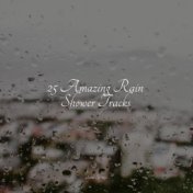 25 Amazing Rain Shower Tracks