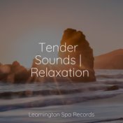 Tender Sounds | Relaxation