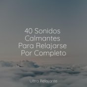 40 Sonidos Calmantes Para Relajarse Por Completo