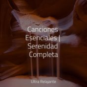 Canciones Esenciales | Serenidad Completa