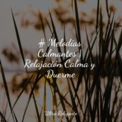 # Melodías Calmantes | Relajación Calma y Duerme