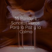 35 Paisajes Sonoros Puros Para la Paz y la Calma