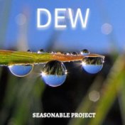 Dew