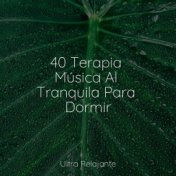 40 Terapia Música Al Tranquila Para Dormir