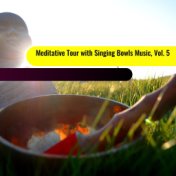 Meditative Tour with Singing Bowls Music, Vol. 5