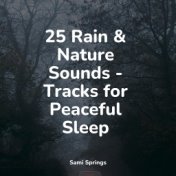 25 Rain & Nature Sounds - Tracks for Peaceful Sleep