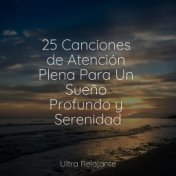 25 Canciones de Atención Plena Para Un Sueño Profundo y Serenidad