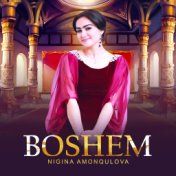 BOSHEM