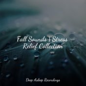 Fall Sounds | Stress Relief Collection