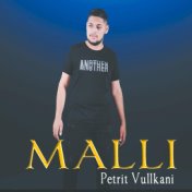 Malli