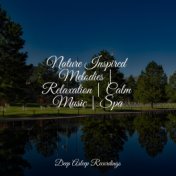 Nature Inspired Melodies | Relaxation | Calm Music | Spa