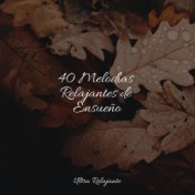 40 Melodías Relajantes de Ensueño