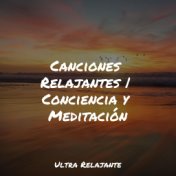 Canciones Relajantes | Conciencia y Meditación