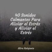 40 Sonidos Calmantes Para Aliviar el Estrés y Aliviar el Estrés