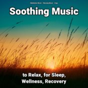 Soothing Music to Relax, for Sleep, Wellness, Recovery