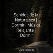 Sonidos de la Naturaleza | Dormir | Música Relajante | Dormir