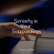 Serenity in Your Surroundings